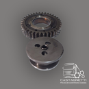 Engrenagem Motor Man Tgx (Usado)